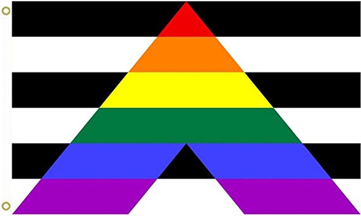 Zacs Alter Ego - Straight Ally Vlag - Multicolours